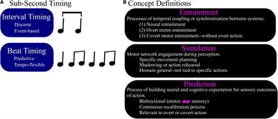 Time Perception for Musical Rhythms: Sensorimotor Perspectives on Entrainment, Simulation, and Prediction